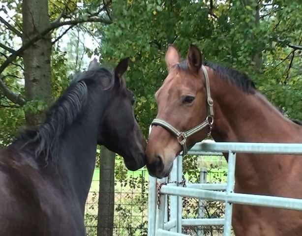 [20091001110258(2)[3].jpg]