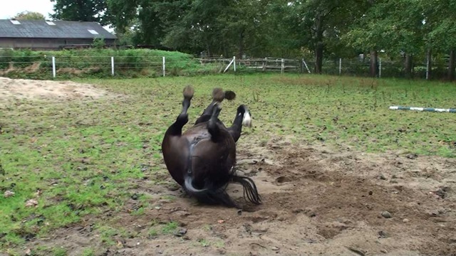 [20091001110924(4)[9].jpg]