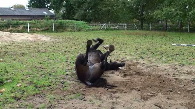 [20091001110924(7)[9].jpg]