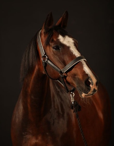 [IMG_4829 [640x480][2].jpg]