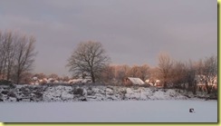 Morgendämmerung7