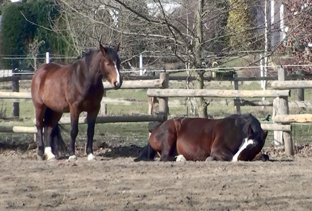 [Rasga-Anton[4].jpg]