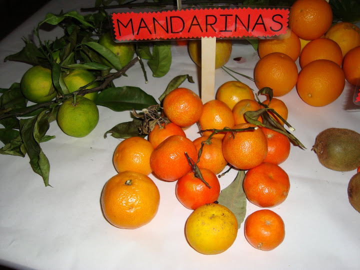 Mandarinas