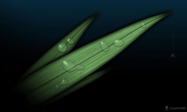 [vladstudio_grass_800x480[6].jpg]
