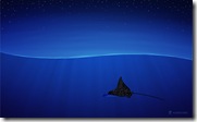 vladstudio_eagle_ray_800x480