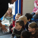 Visit from Echo Bats