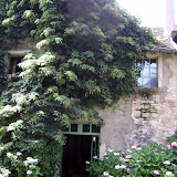 Jardin Annabelle Rainans-34.JPG