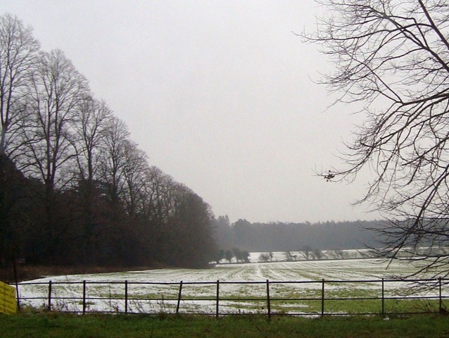 [DSC09785 - Copy[3].jpg]