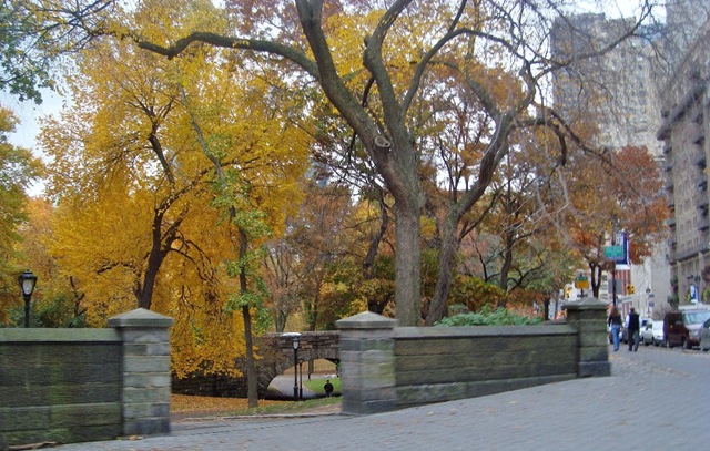 [Central Park Fall 2[6].jpg]
