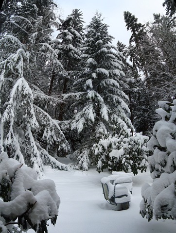 [DSC04528 Stitch[3].jpg]