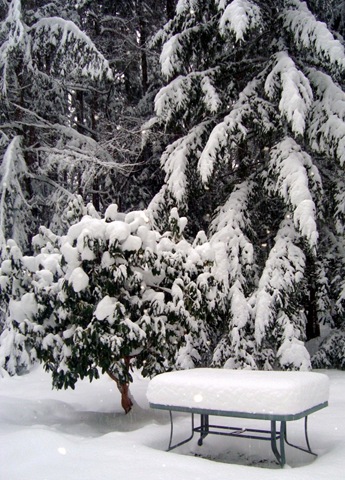 [a-Rhodie_snow 2[4].jpg]