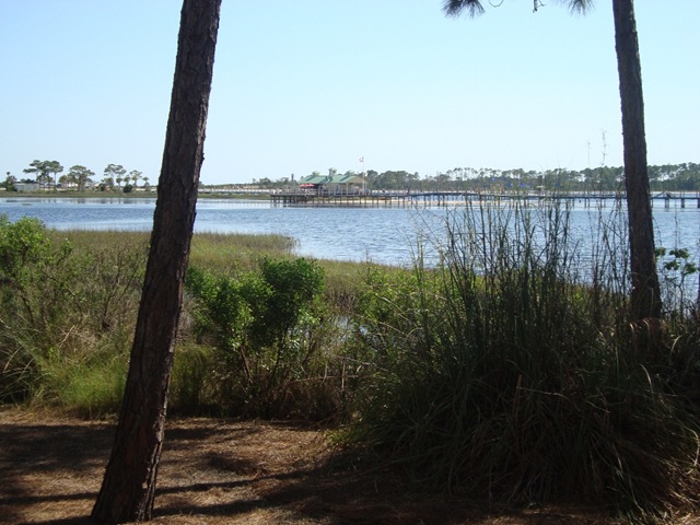 [Marriott Bay Pointe 16[5].jpg]