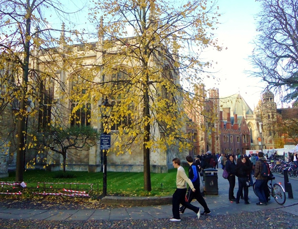 [Cam Autumn 05[3].jpg]