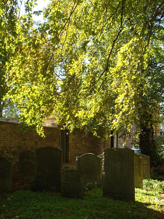 [Peterborough-Cathedral-652.jpg]