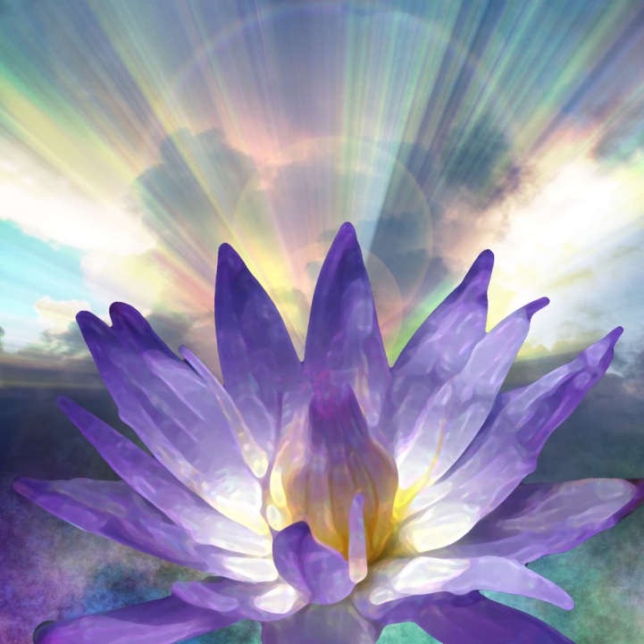 [Flor Violeta[2].jpg]