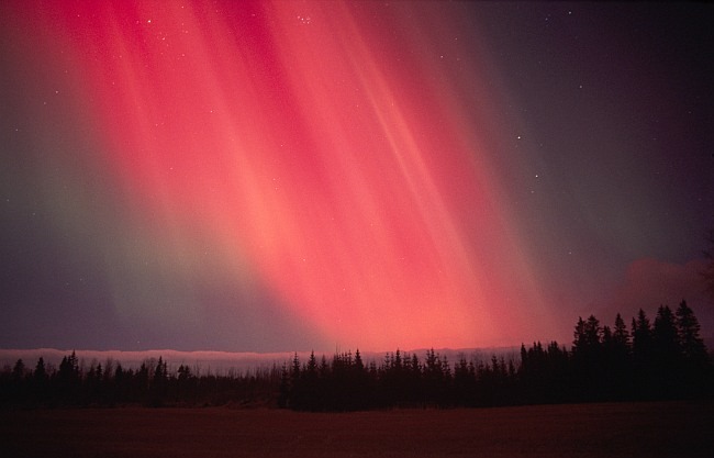 [cielo rosado[2].jpg]