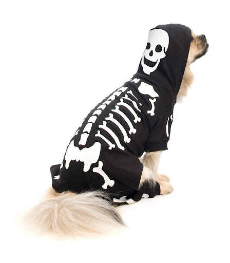 Skeleton costume.