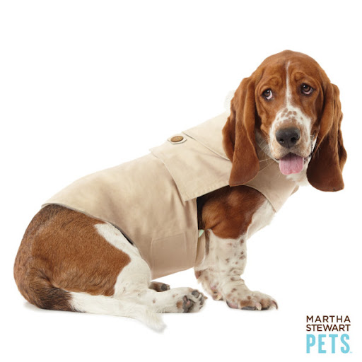 Every dog needs a trench coat...(petsmart.com)