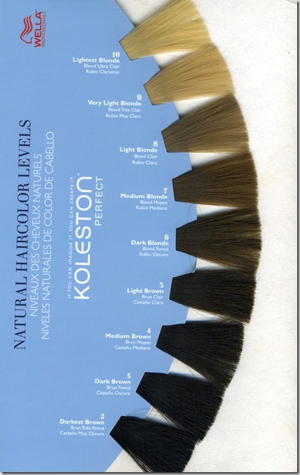 wella KP 2010 chart138 wella KP 2010 chart138