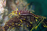 IMG_2501.JPG