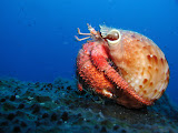 P1010d013.JPG