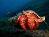 P1010016.JPG