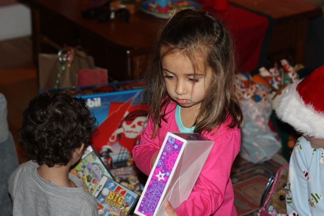 [DecemberChrstmas09 338[3].jpg]
