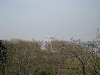 IMG_0646.JPG
