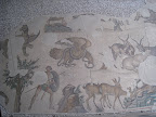 IMG_0817.JPG