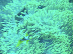 PICT0077.JPG