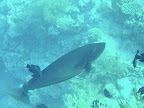 PICT0085.JPG
