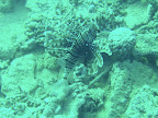 PICT0182.JPG