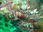 PICT0178.JPG