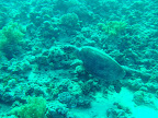 PICT0212.JPG