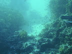 PICT0393.JPG