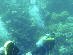 PICT0394.JPG