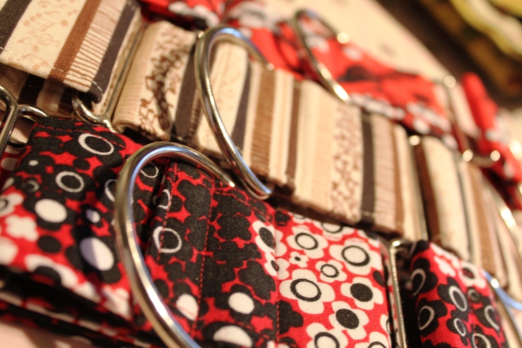 [IMG_0577[4].jpg]