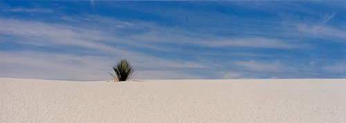 [Marty_Carden_White_Sands_13[8].jpg]