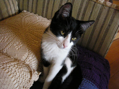DSCN2608.JPG