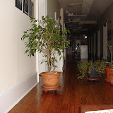 DSC03204.JPG