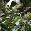 IMG_1040.JPG
