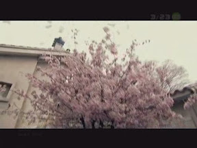 AAA