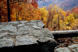 Fall Textures