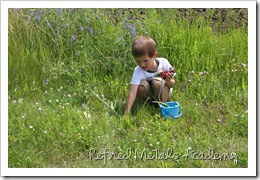 IMG_0049