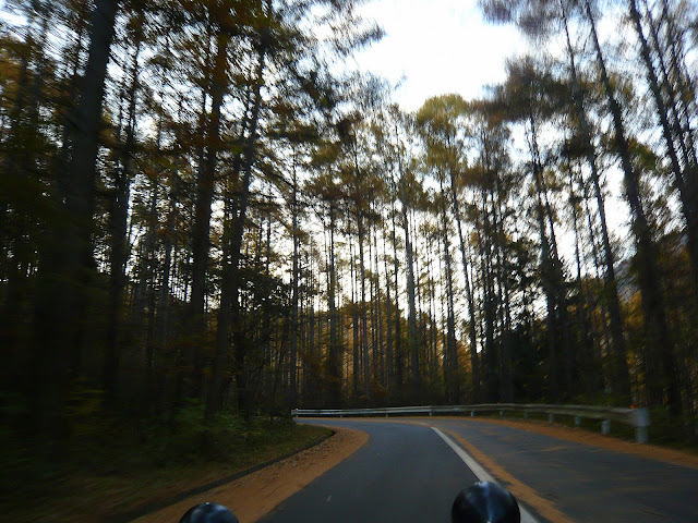 大きくしてね♪