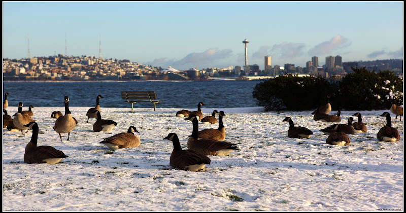 IMAGE: http://lh4.ggpht.com/_cYmfRMewE4Q/SUxPdzeEbDI/AAAAAAAAInY/HUHt_uOZcJM/s800/IMG_0089.JPG