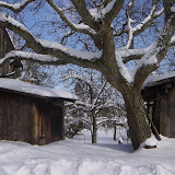Snowy Village