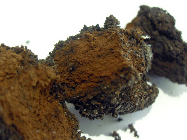these coffee cakes were buried 9 months ago
