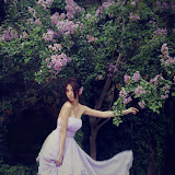 柳琳~Dream of light purple