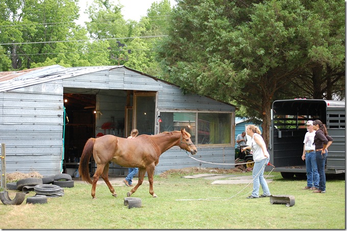 Peggy & Mariah - Trailer Loading